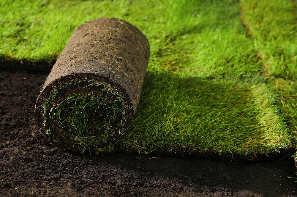 Laying Sod Grass Sod Installation Services Near Me